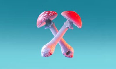 Xaller