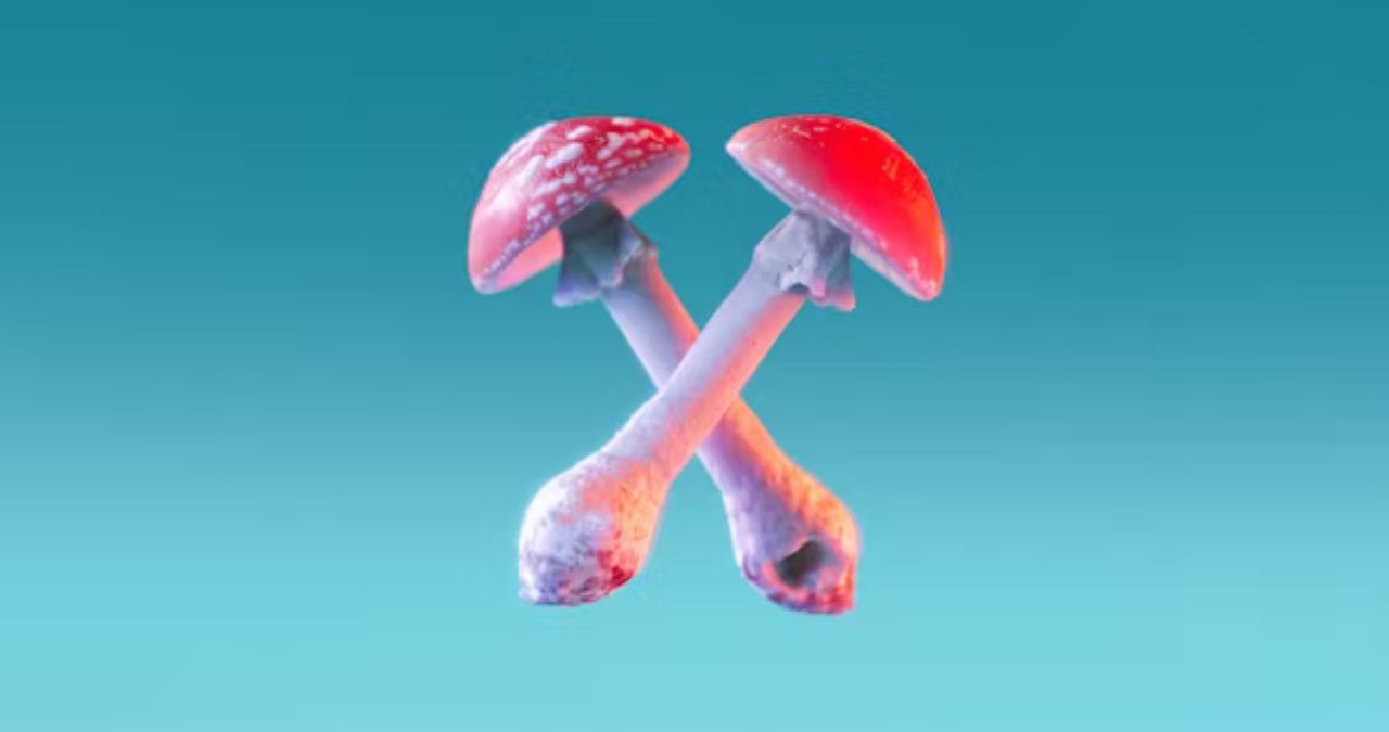 Xaller