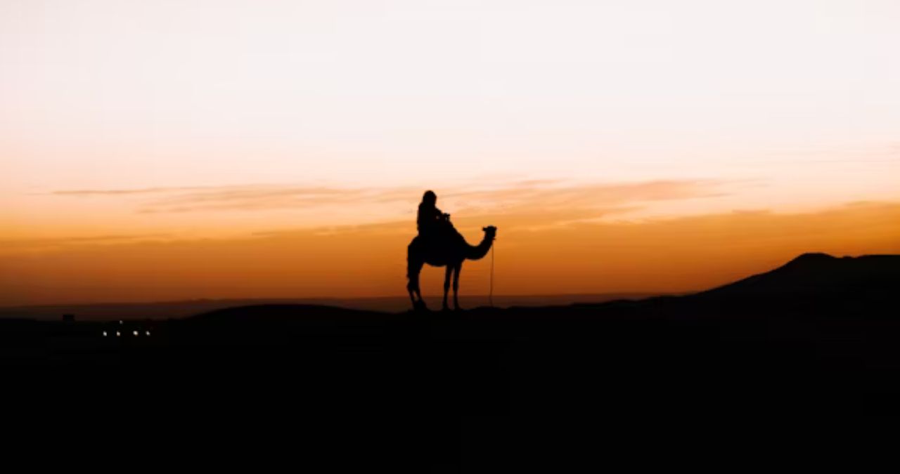 Amikaf16