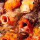 Crawfish