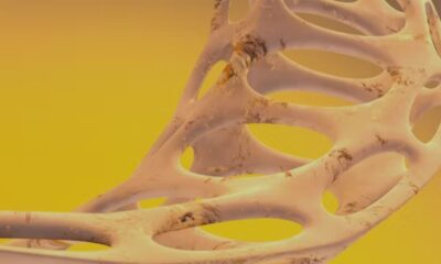 Osteopur