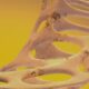 Osteopur