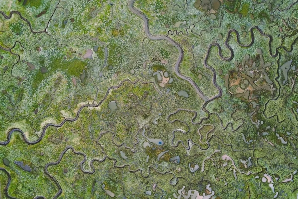 Antarvafna